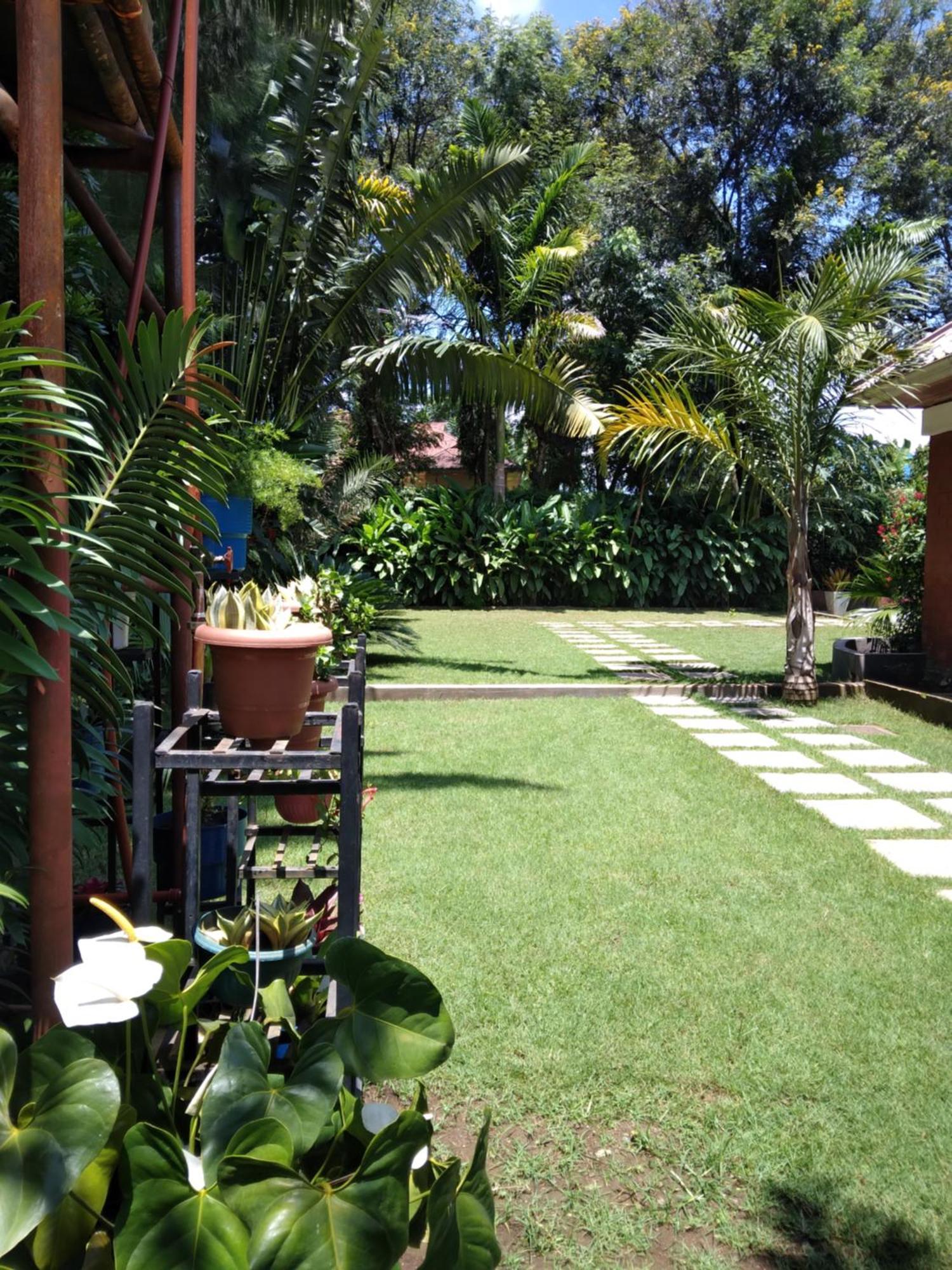 Sprunger Avenue - Tulia Homes Moshi Extérieur photo